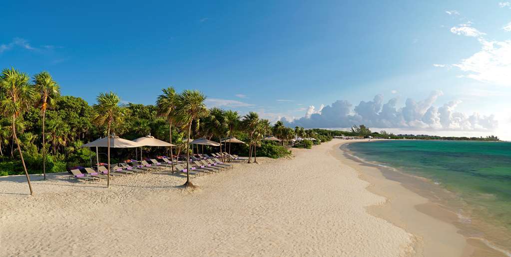 Royal Service At Paradisus La Perla (Adults Only) Плая дел Кармен Природа снимка